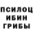 Псилоцибиновые грибы MAGIC MUSHROOMS Dileara Neliubuna