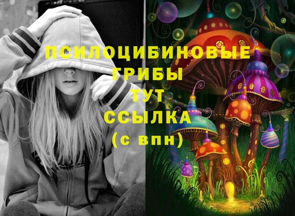 МДПВ Алексин