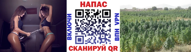 Бошки марихуана White Widow  Нижний Ломов 
